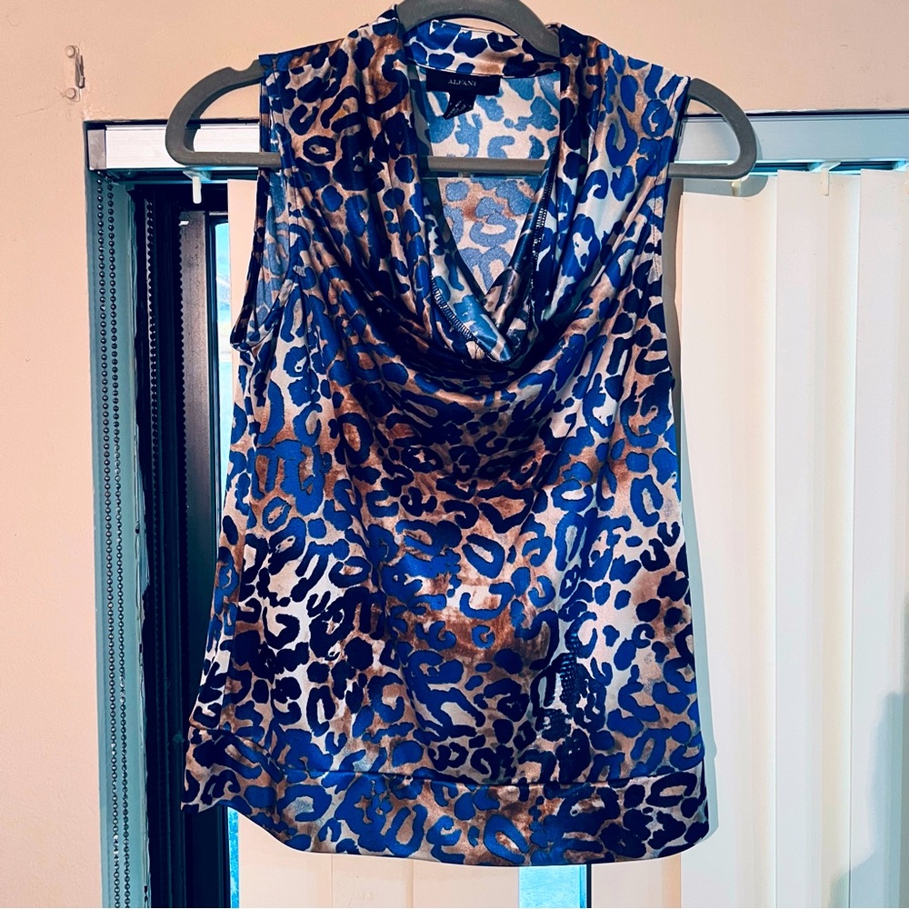 Silk multi colored blouse
